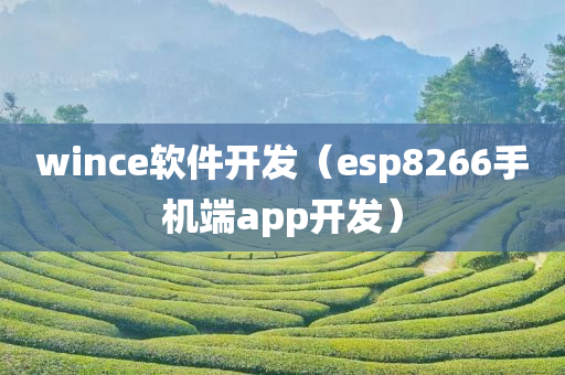 wince软件开发（esp8266手机端app开发）