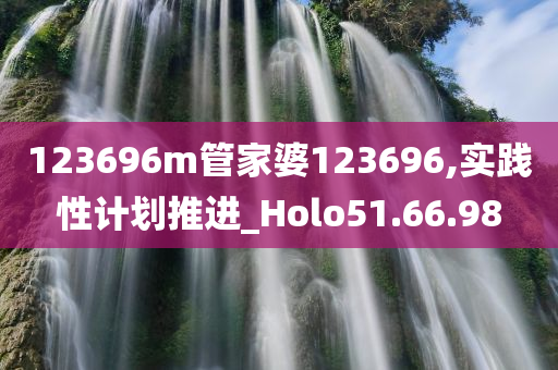 123696m管家婆123696,实践性计划推进_Holo51.66.98