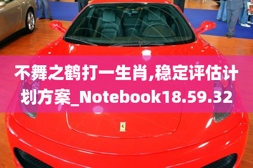 不舞之鹤打一生肖,稳定评估计划方案_Notebook18.59.32