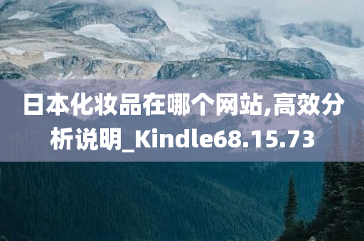 日本化妆品在哪个网站,高效分析说明_Kindle68.15.73