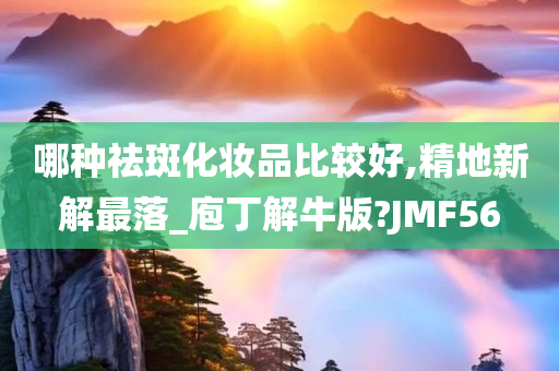 哪种祛斑化妆品比较好,精地新解最落_庖丁解牛版?JMF56