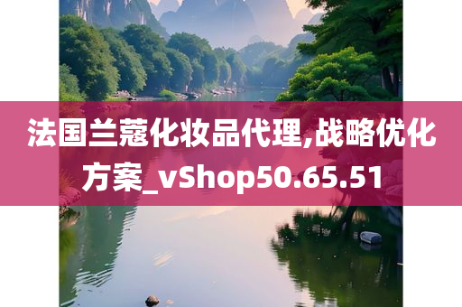 法国兰蔻化妆品代理,战略优化方案_vShop50.65.51