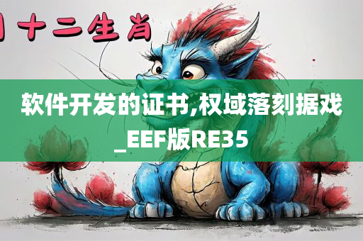 软件开发的证书,权域落刻据戏_EEF版RE35