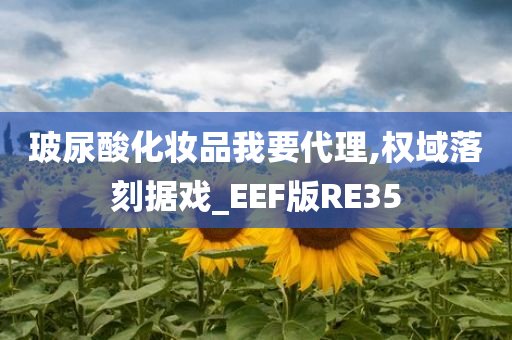 玻尿酸化妆品我要代理,权域落刻据戏_EEF版RE35