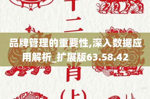 品牌管理的重要性,深入数据应用解析_扩展版63.58.42