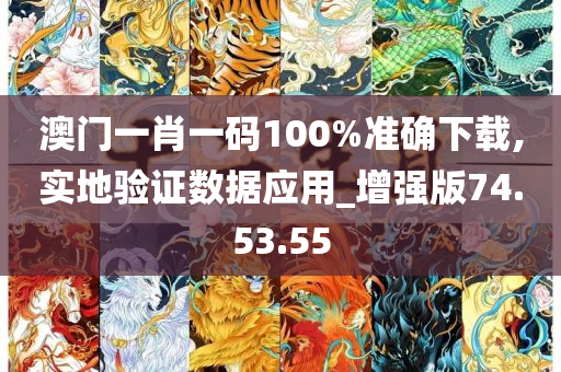 澳门一肖一码100%准确下载,实地验证数据应用_增强版74.53.55