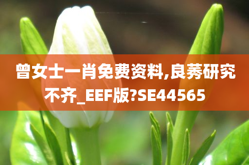 曾女士一肖免费资料,良莠研究不齐_EEF版?SE44565