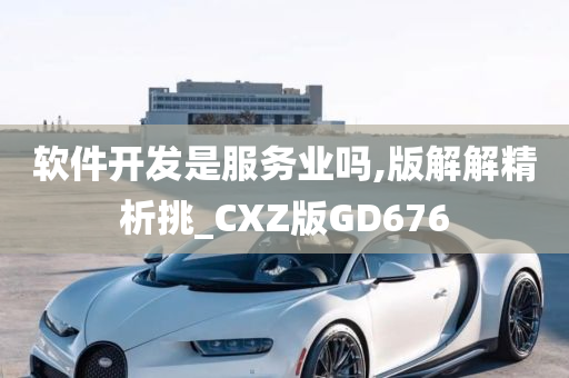 软件开发是服务业吗,版解解精析挑_CXZ版GD676