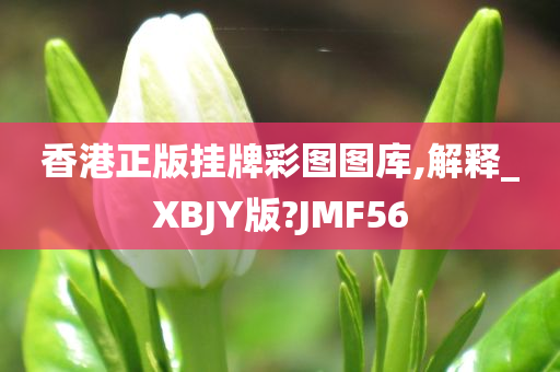 香港正版挂牌彩图图库,解释_XBJY版?JMF56