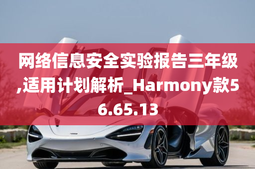 网络信息安全实验报告三年级,适用计划解析_Harmony款56.65.13