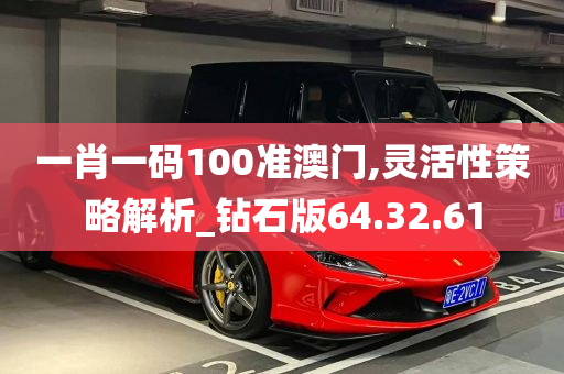 一肖一码100准澳门,灵活性策略解析_钻石版64.32.61