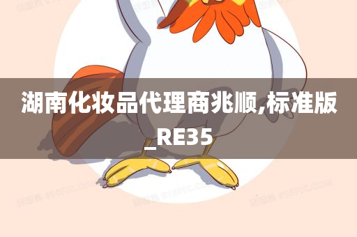 湖南化妆品代理商兆顺,标准版_RE35