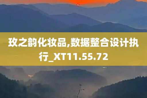 玫之韵化妆品,数据整合设计执行_XT11.55.72