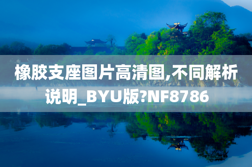 橡胶支座图片高清图,不同解析说明_BYU版?NF8786