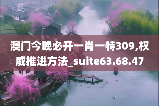 澳门今晚必开一肖一特309,权威推进方法_suite63.68.47