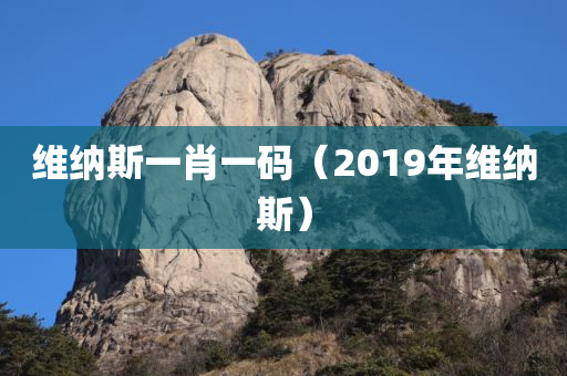 维纳斯一肖一码（2019年维纳斯）