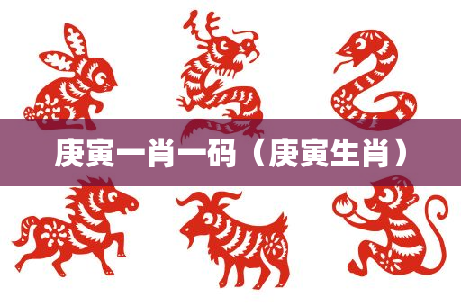 庚寅一肖一码（庚寅生肖）