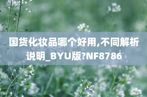 国货化妆品哪个好用,不同解析说明_BYU版?NF8786