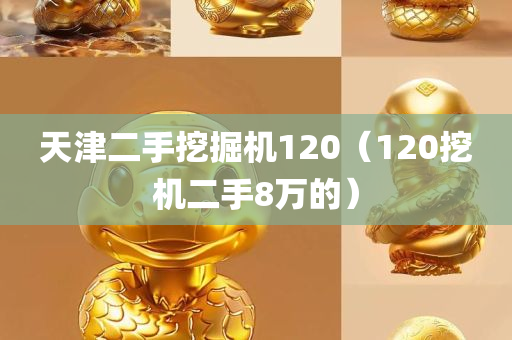 天津二手挖掘机120（120挖机二手8万的）