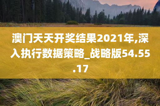 澳门天天开奖结果2021年,深入执行数据策略_战略版54.55.17