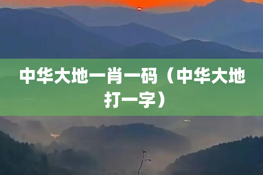 中华大地一肖一码（中华大地 打一字）