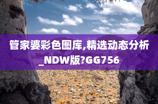 管家婆彩色图库,精选动态分析_NDW版?GG756