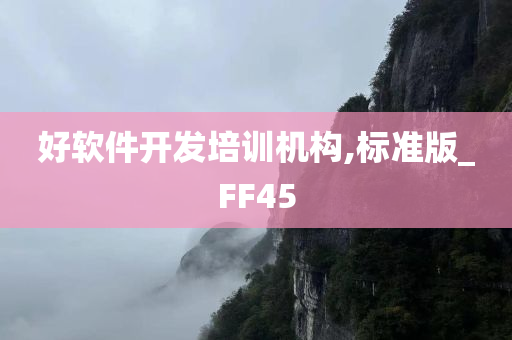 好软件开发培训机构,标准版_FF45