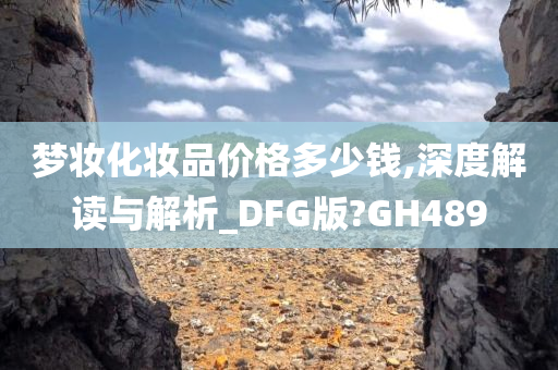 梦妆化妆品价格多少钱,深度解读与解析_DFG版?GH489