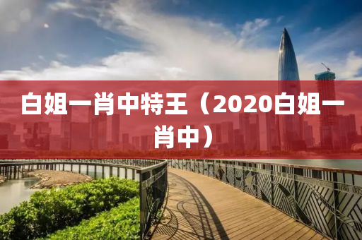 白姐一肖中特王（2020白姐一肖中）