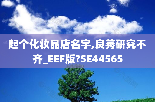 起个化妆品店名字,良莠研究不齐_EEF版?SE44565