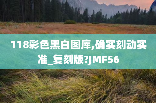 118彩色黑白图库,确实刻动实准_复刻版?JMF56