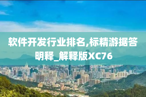 软件开发行业排名,标精游据答明释_解释版XC76