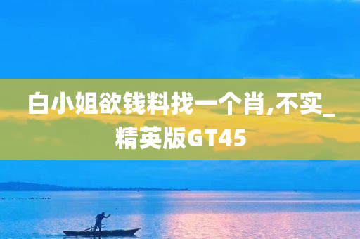 白小姐欲钱料找一个肖,不实_精英版GT45