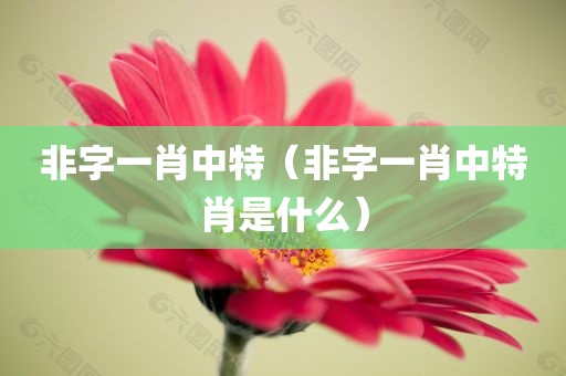 非字一肖中特（非字一肖中特肖是什么）