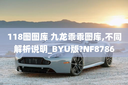 118图图库 九龙乖乖图库,不同解析说明_BYU版?NF8786