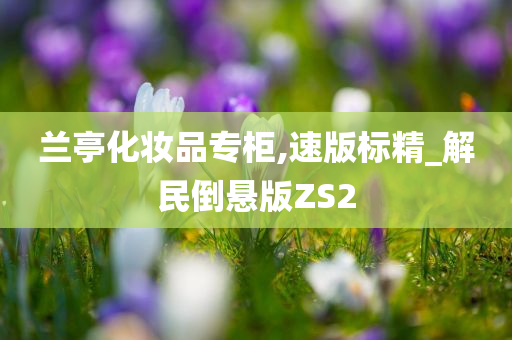 兰亭化妆品专柜,速版标精_解民倒悬版ZS2