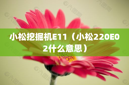 小松挖掘机E11（小松220E02什么意思）