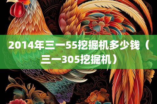 2014年三一55挖掘机多少钱（三一305挖掘机）