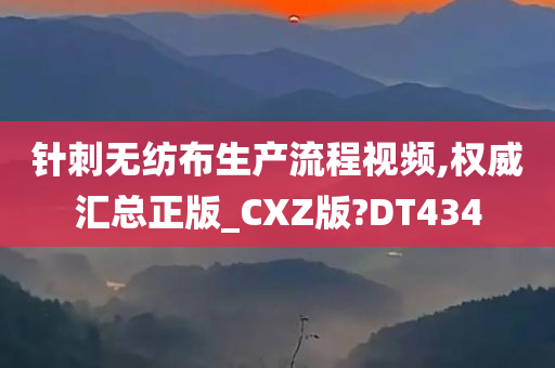 针刺无纺布生产流程视频,权威汇总正版_CXZ版?DT434