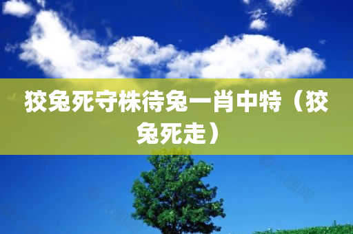 狡兔死守株待兔一肖中特（狡兔死走）