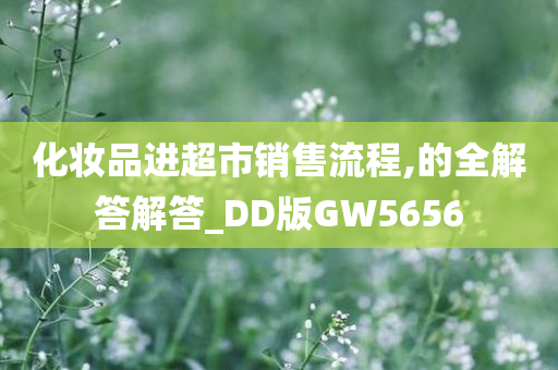 化妆品进超市销售流程,的全解答解答_DD版GW5656