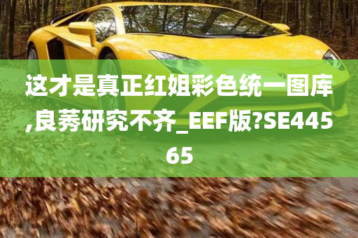 这才是真正红姐彩色统一图库,良莠研究不齐_EEF版?SE44565