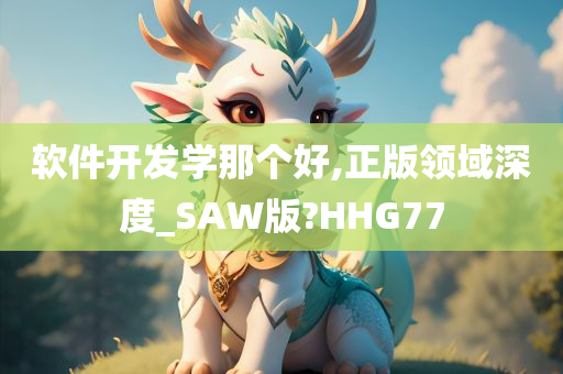 软件开发学那个好,正版领域深度_SAW版?HHG77