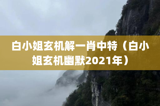 白小姐玄机解一肖中特（白小姐玄机幽默2021年）