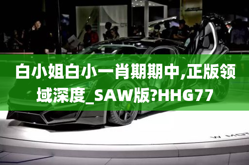 白小姐白小一肖期期中,正版领域深度_SAW版?HHG77