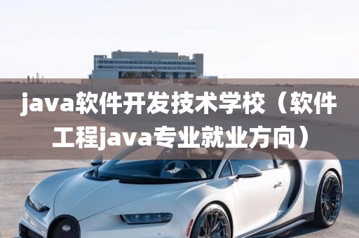 java软件开发技术学校（软件工程java专业就业方向）