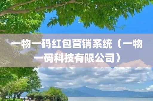 一物一码红包营销系统（一物一码科技有限公司）