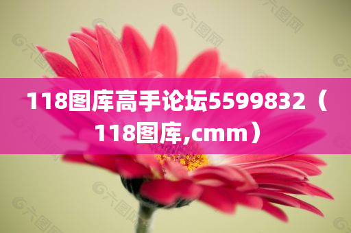 118图库高手论坛5599832（118图库,cmm）