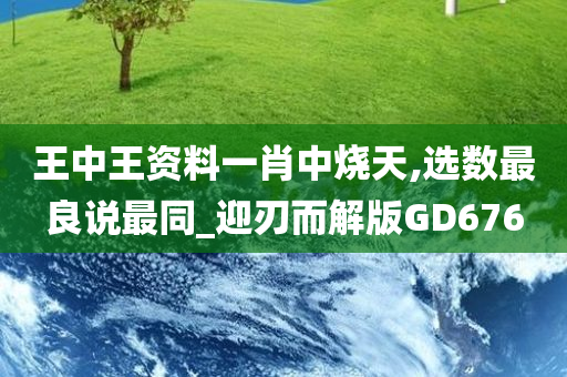 王中王资料一肖中烧天,选数最良说最同_迎刃而解版GD676