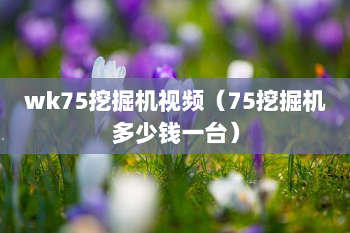 wk75挖掘机视频（75挖掘机多少钱一台）